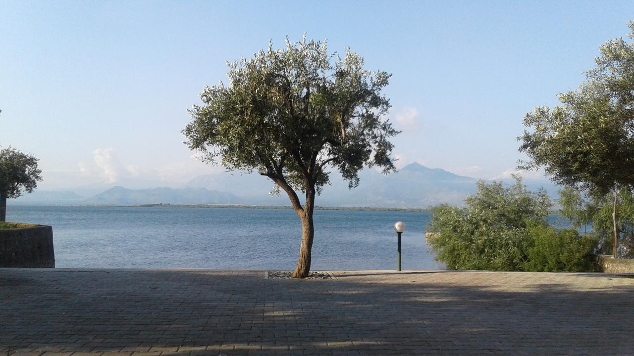 Hotel Shkodra Lake Široka Esterno foto