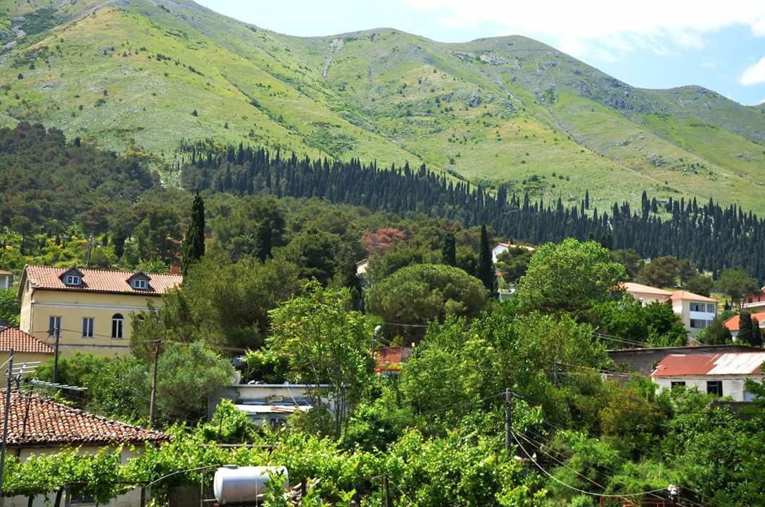 Hotel Shkodra Lake Široka Esterno foto